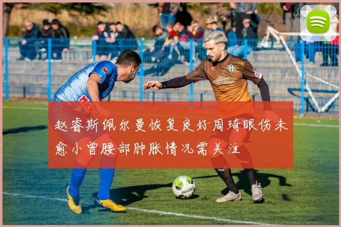 赵睿斯佩尔曼恢复良好周琦眼伤未愈小曾腰部肿胀情况需关注